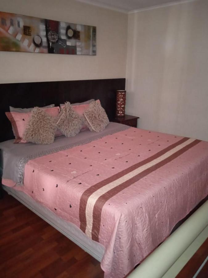 Central Suites Santiago du Chili Extérieur photo